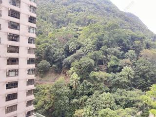中半山 - 地利根德閣 03