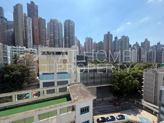 Sai Ying Pun - Macro Garden 08