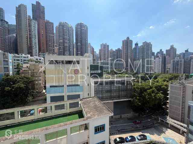 Sai Ying Pun - Macro Garden 08
