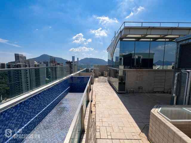Tai Hang - The Legend 15