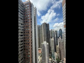中半山 - 敦皓 05