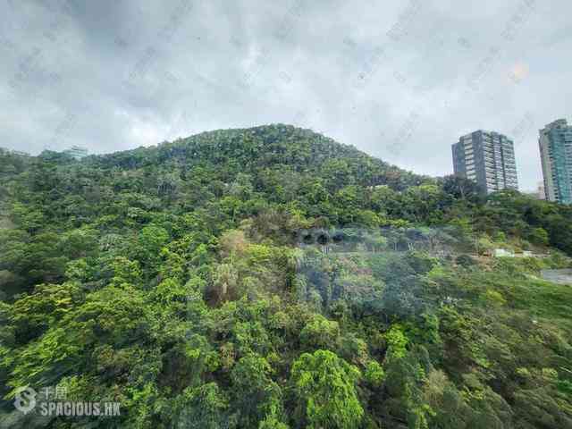 中半山 - 21 Borrett Road 1號及2號 21