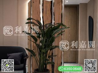Clear Water Bay - Mount Pavilia 12