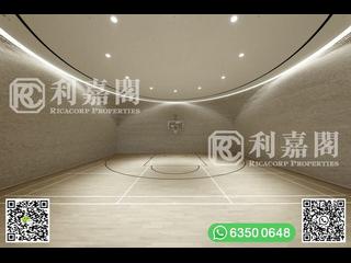 Clear Water Bay - Mount Pavilia 34