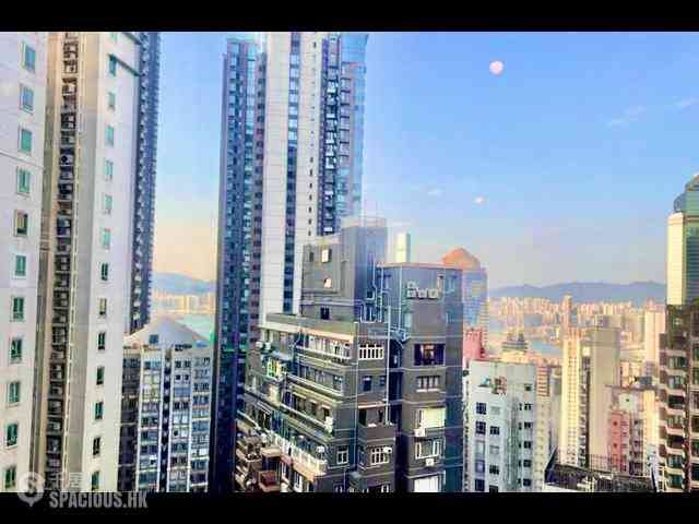 Mid Levels Central - 62B, Robinson Road 02