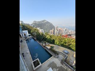 The Peak - 56 Plantation Road 08