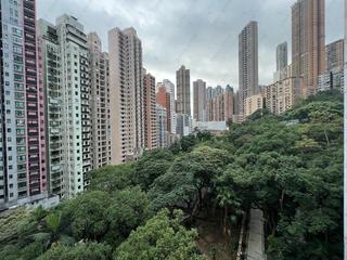 西半山 - 兴华大厦B座 36