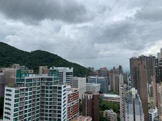 西营盘 - 宁养台B座 08