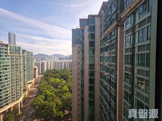 紅磡 - 海逸豪園2期 玉庭軒 Villa Verde 20