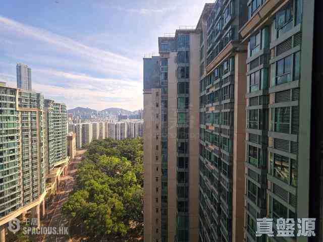 紅磡 - 海逸豪園2期 玉庭軒 Villa Verde 20