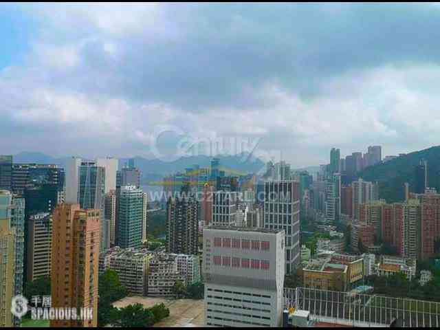 跑马地 - 比华利山 12