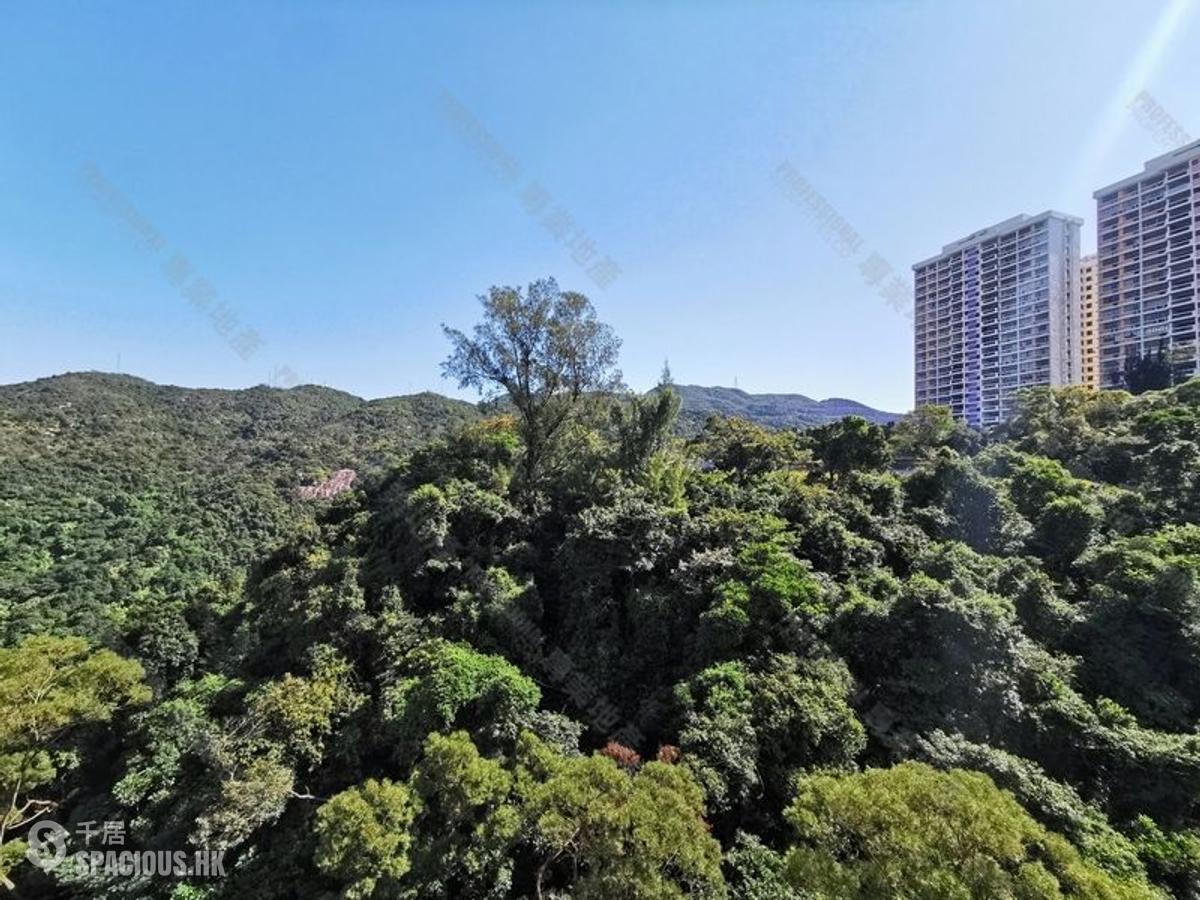 Tai Hang - Flora Garden 01