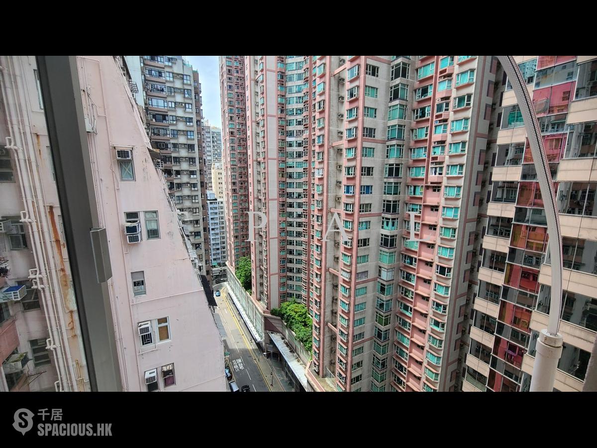 北角 - 丹桂阁 01