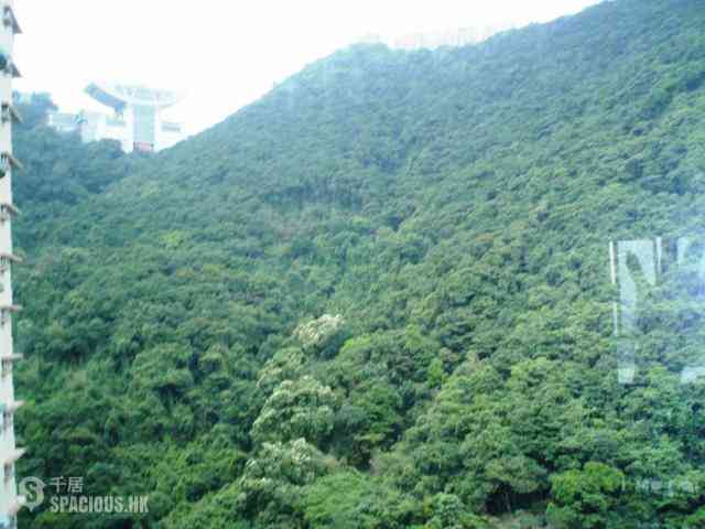 中半山 - 曉峰閣3座 01