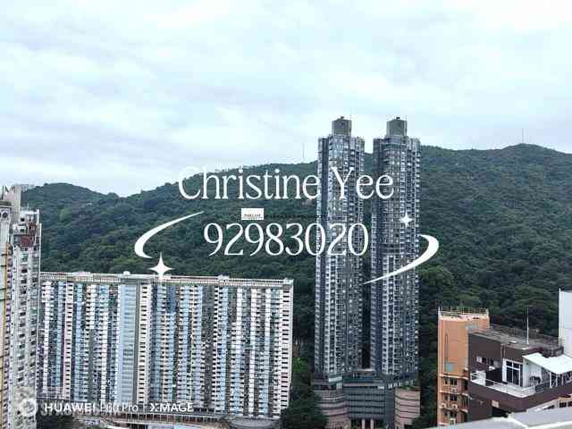 Tai Hang - Carnation Court 05