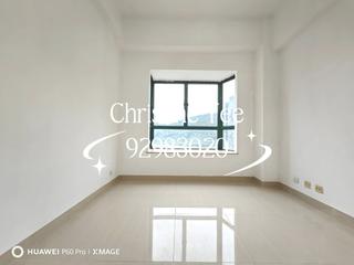 Tai Hang - Carnation Court 12