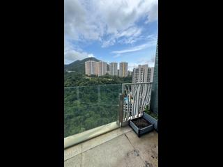 Tai Hang - The Legend 02