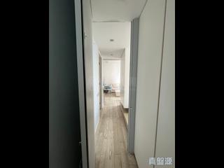 Sai Ying Pun - Island Crest 07
