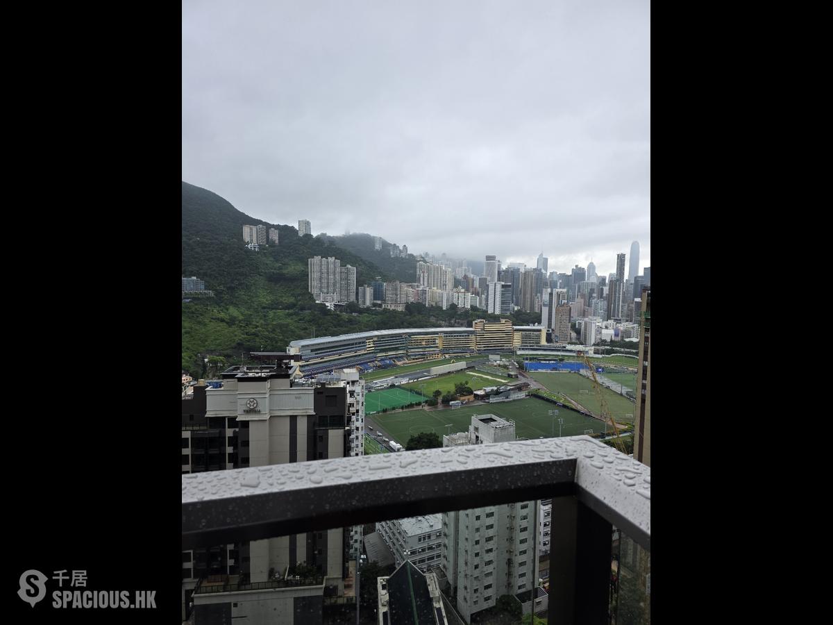 跑马地 - 乐天峰 01