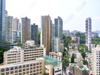 大坑 - 上林 04