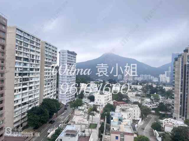渣甸山 - 柏麗園 02