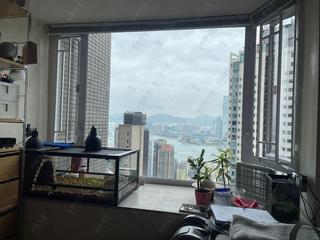 西半山 - 景雅花园 13