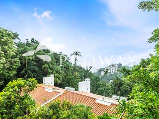 The Peak - Strawberry Hill 02