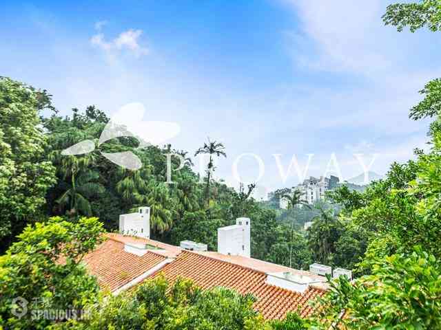 The Peak - Strawberry Hill 02