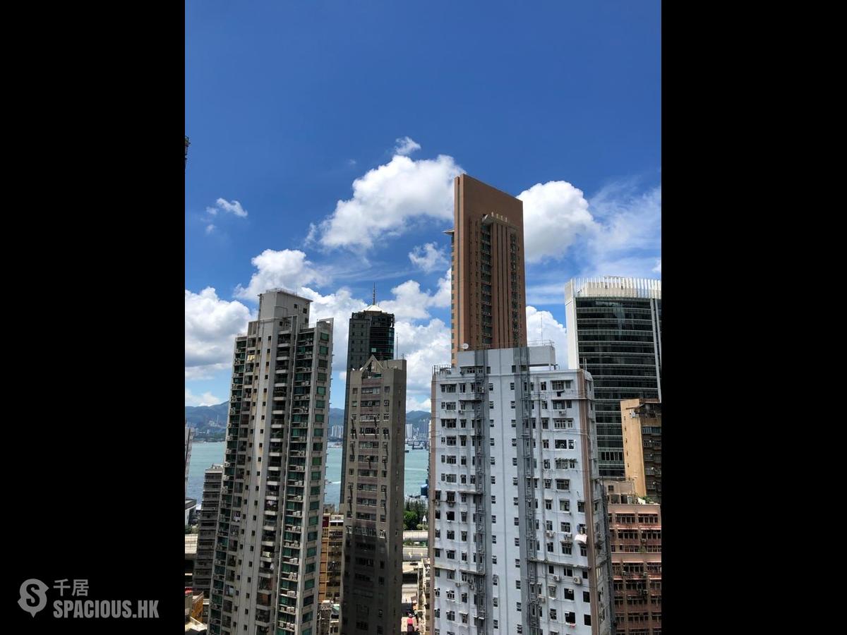 Sai Ying Pun - Macro Garden 01