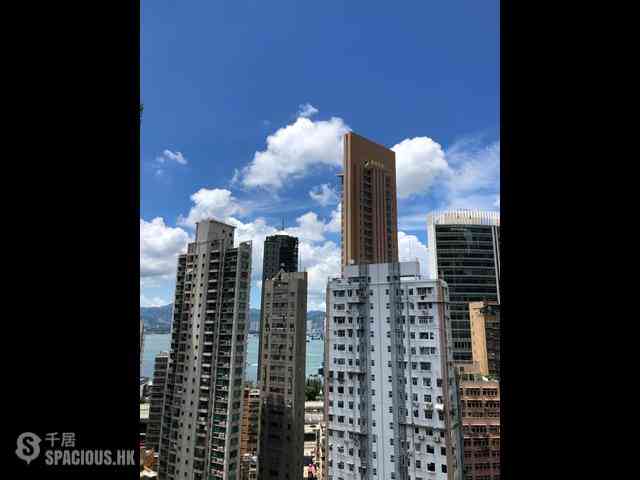 Sai Ying Pun - Macro Garden 01