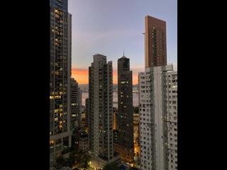 Sai Ying Pun - Macro Garden 02