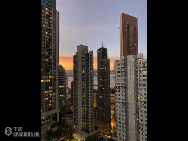 Sai Ying Pun - Macro Garden 02