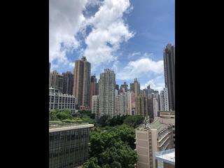 Sai Ying Pun - Macro Garden 10