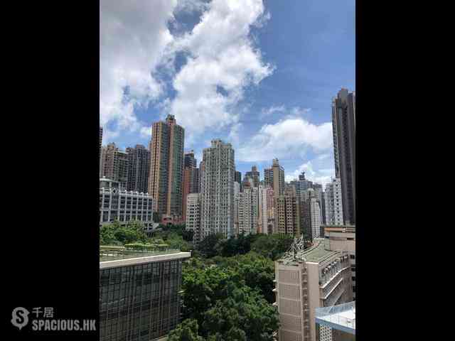 Sai Ying Pun - Macro Garden 10
