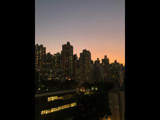 Sai Ying Pun - Macro Garden 15
