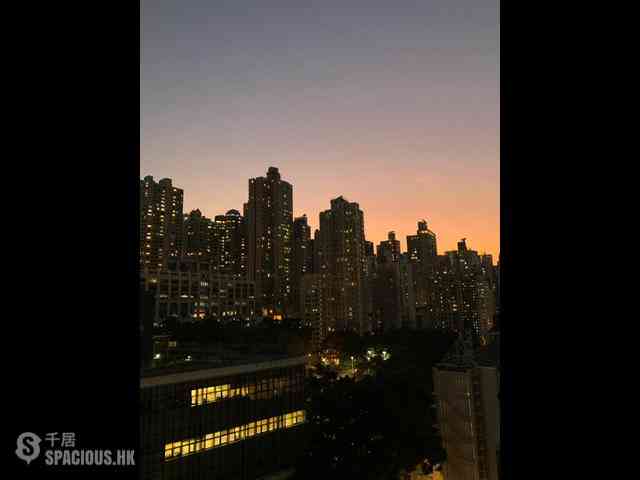 Sai Ying Pun - Macro Garden 15