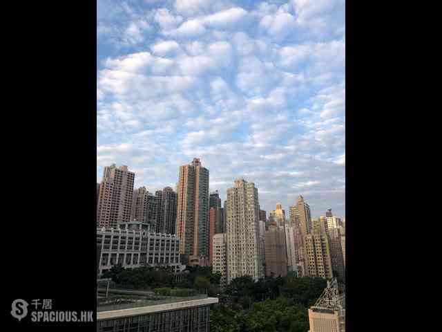 Sai Ying Pun - Macro Garden 16