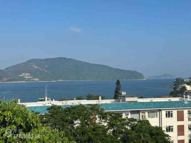 Stanley - Carmelia 06