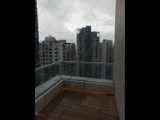 中半山 - 敦皓 17