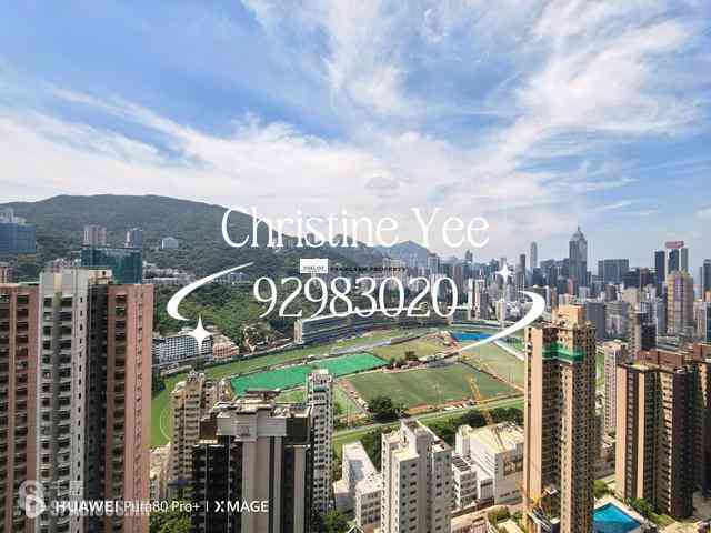 跑馬地 - 樂天峯 01