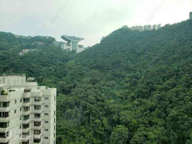 Mid Levels Central - Hillsborough Court 14