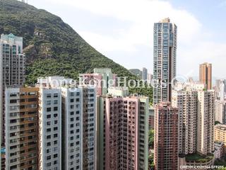 Mid Levels Central - Robinson Place 02