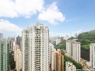 大坑 - 帝后台 02