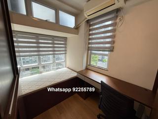Sai Ying Pun - Western Garden 04