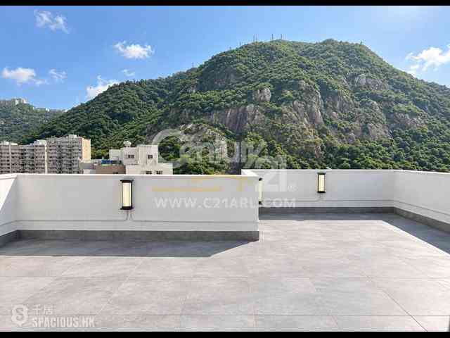 Mid Levels Central - Elegant Terrace 04