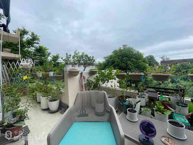 Discovery Bay - Discovery Bay Phase 1 Beach Village Seabird Lane 20