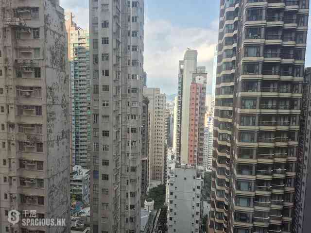 Mid Levels Central - Green Field Court 11