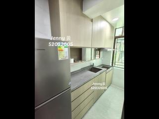 Jordan - 564, Canton Road 08