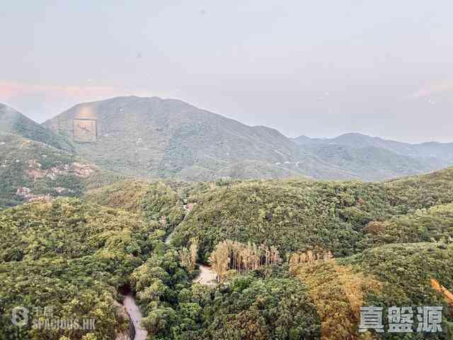 大潭 - 阳明山庄 山景园4座 04