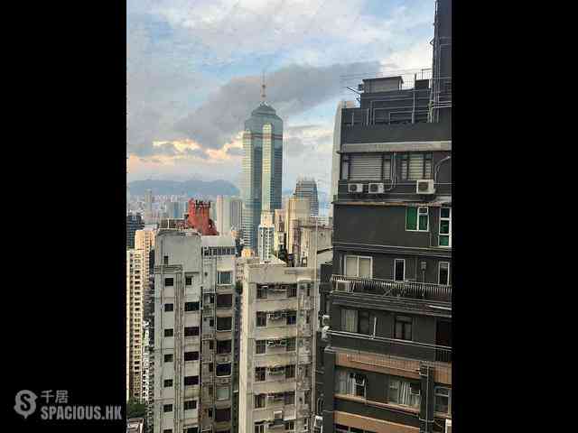 中半山 - 高云台 03